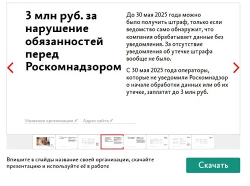 Бухгалтеров накажут за ИНН и СНИЛС работников с 30 мая