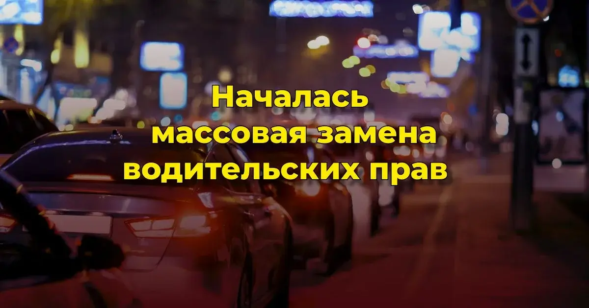 Началась замена водительских прав в 2025 году: старые права аннулируют