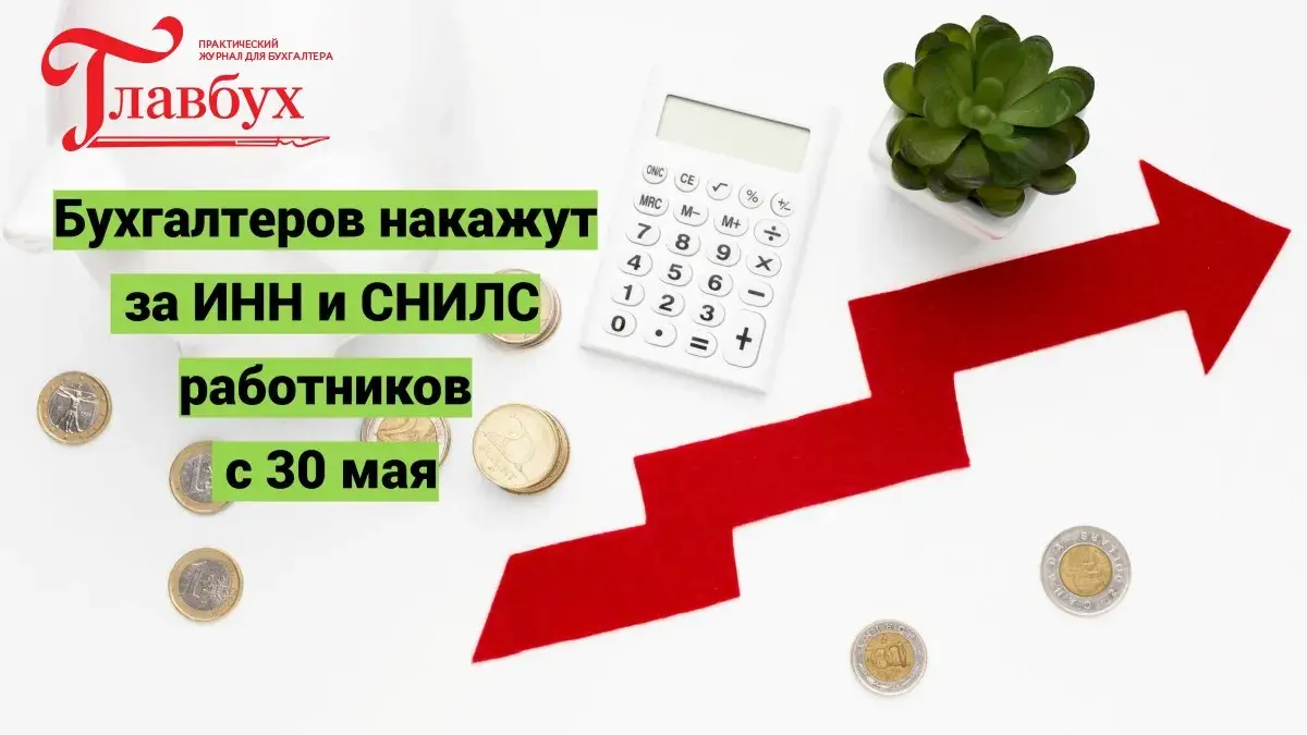 Бухгалтеров накажут за ИНН и СНИЛС работников с 30 мая