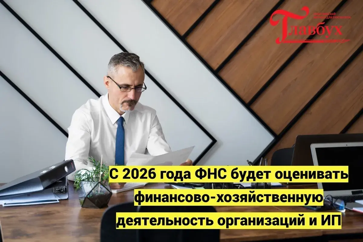 С 2026 года ФНС будет оценивать финансово-хозяйственную деятельность организаций и ИП